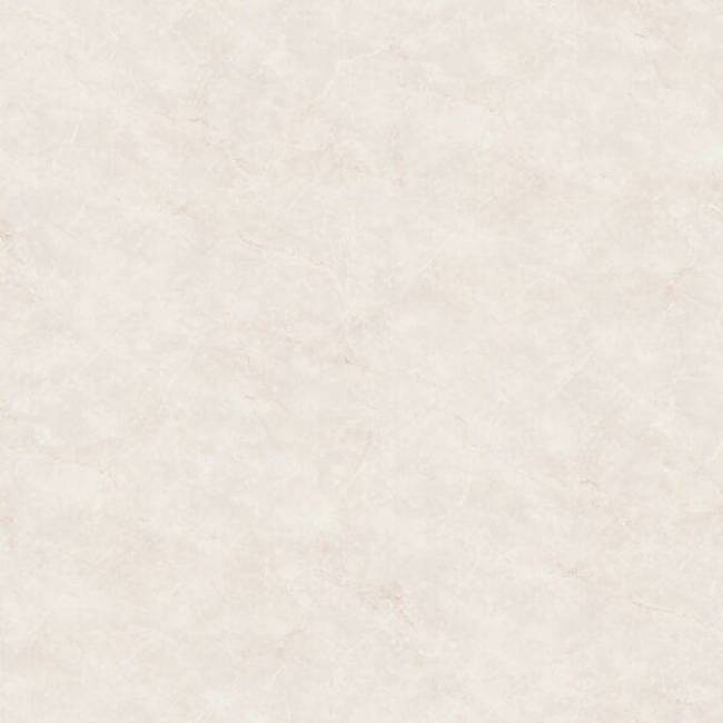 F229 (1).jpeg